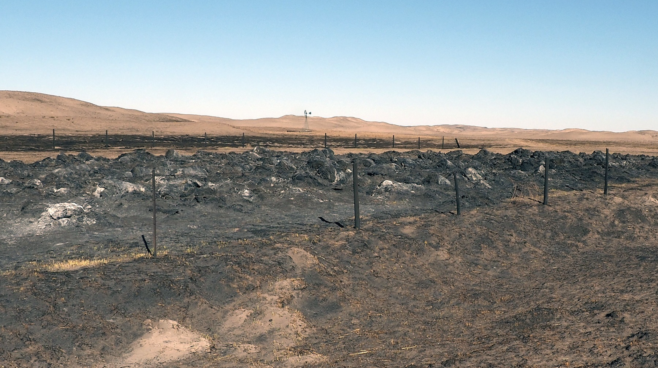 Helping young children recover after natural disasters