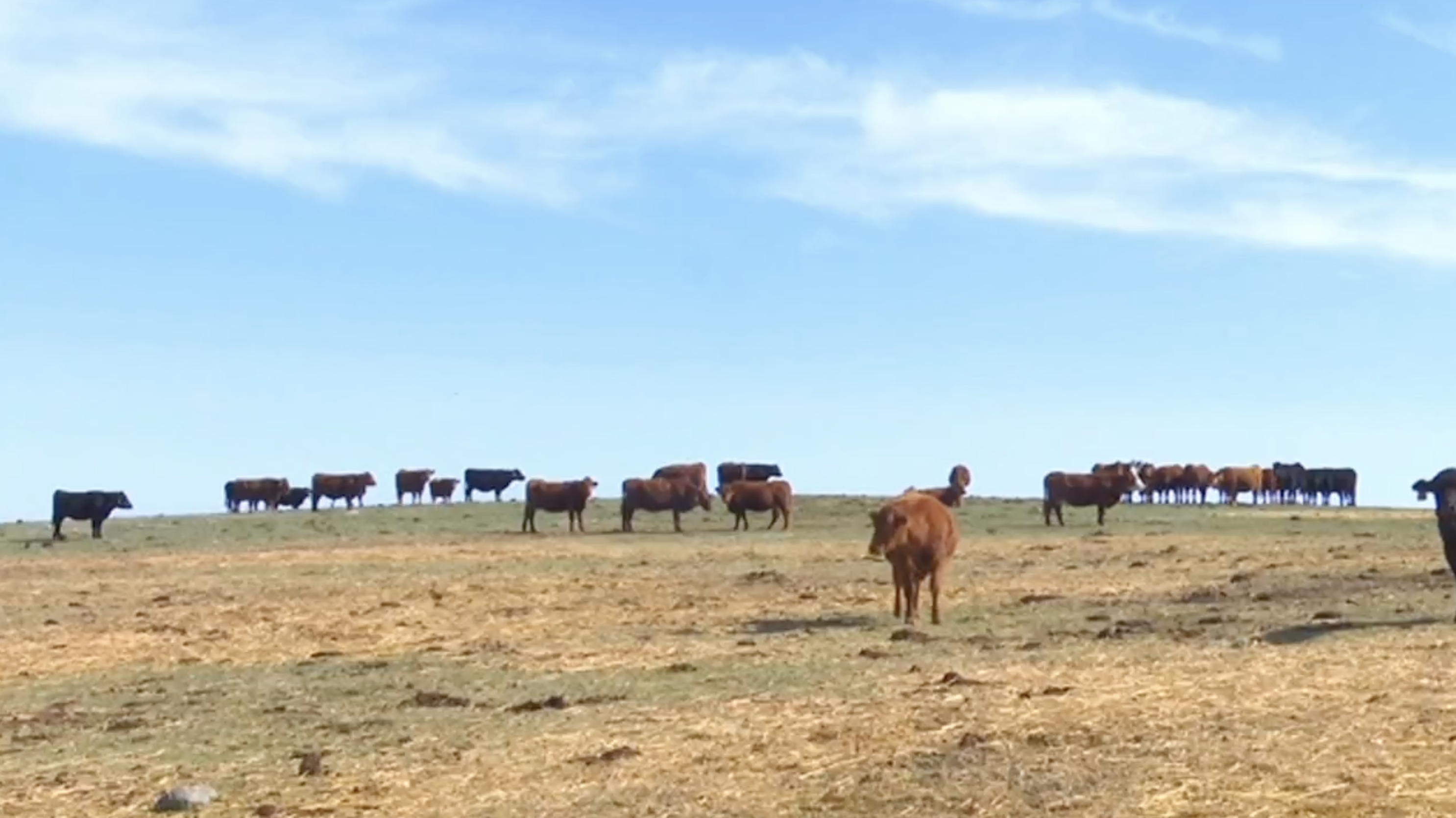USDA relocation plan to bring research project, jobs to Nebraska facility