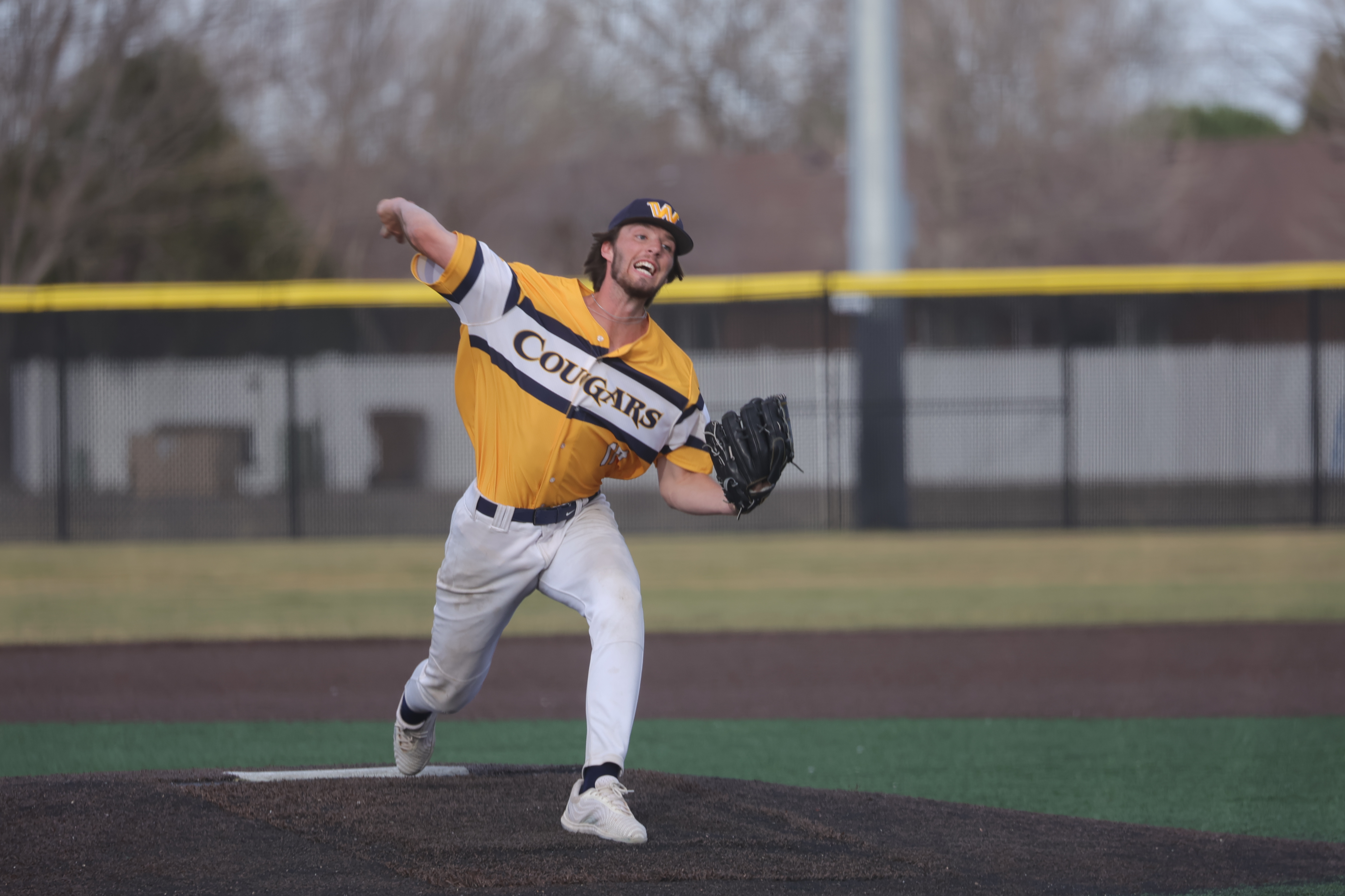 Cougar notes: WNCC baseball splits with Luna - Central NCN