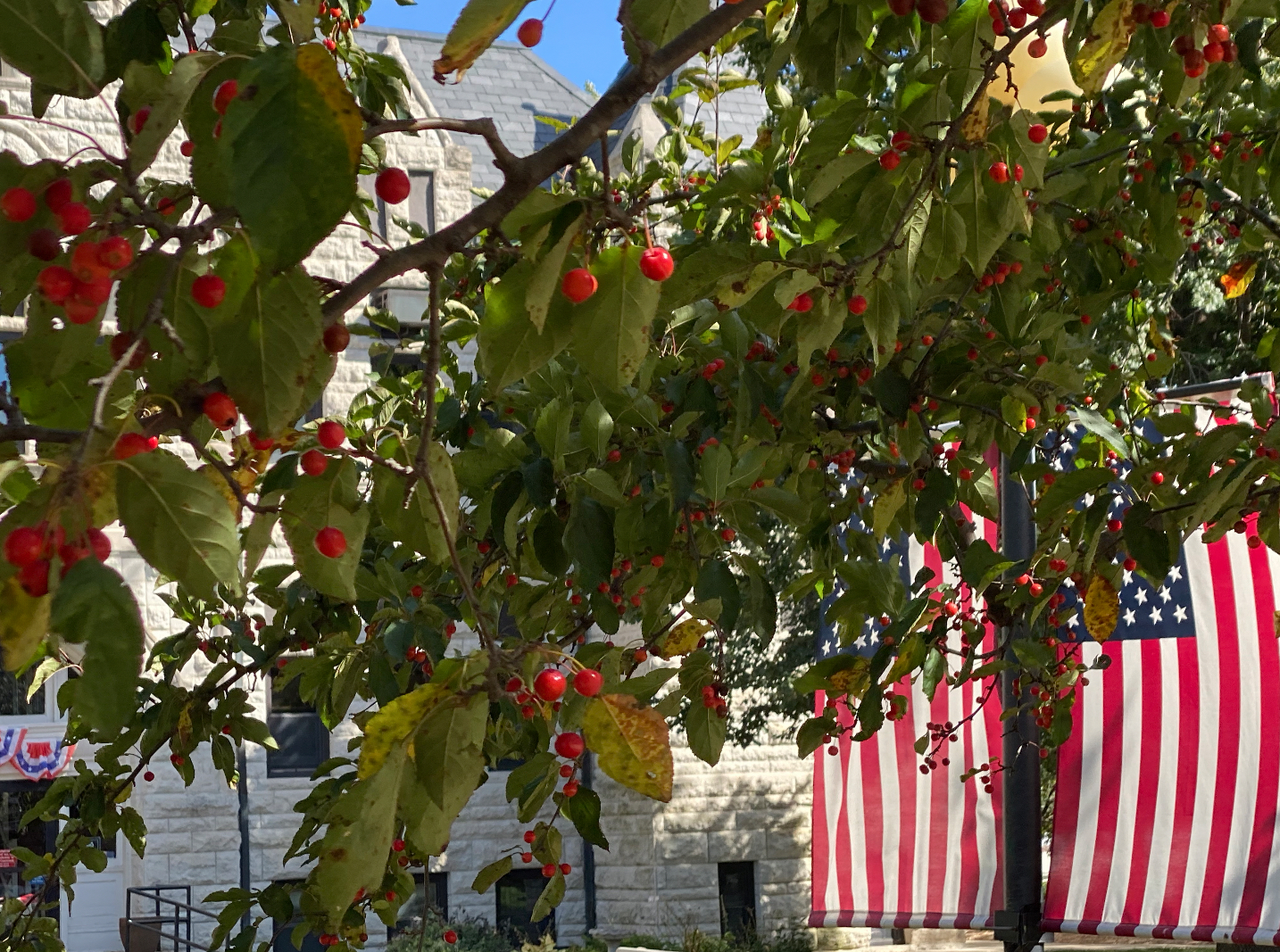 Arbor Day has America 250 theme - River Country News Channel Nebraska