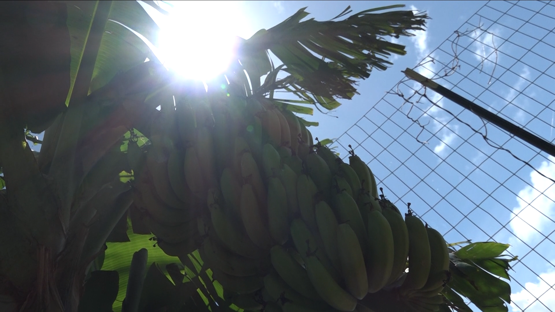 March is National Nutrition Month