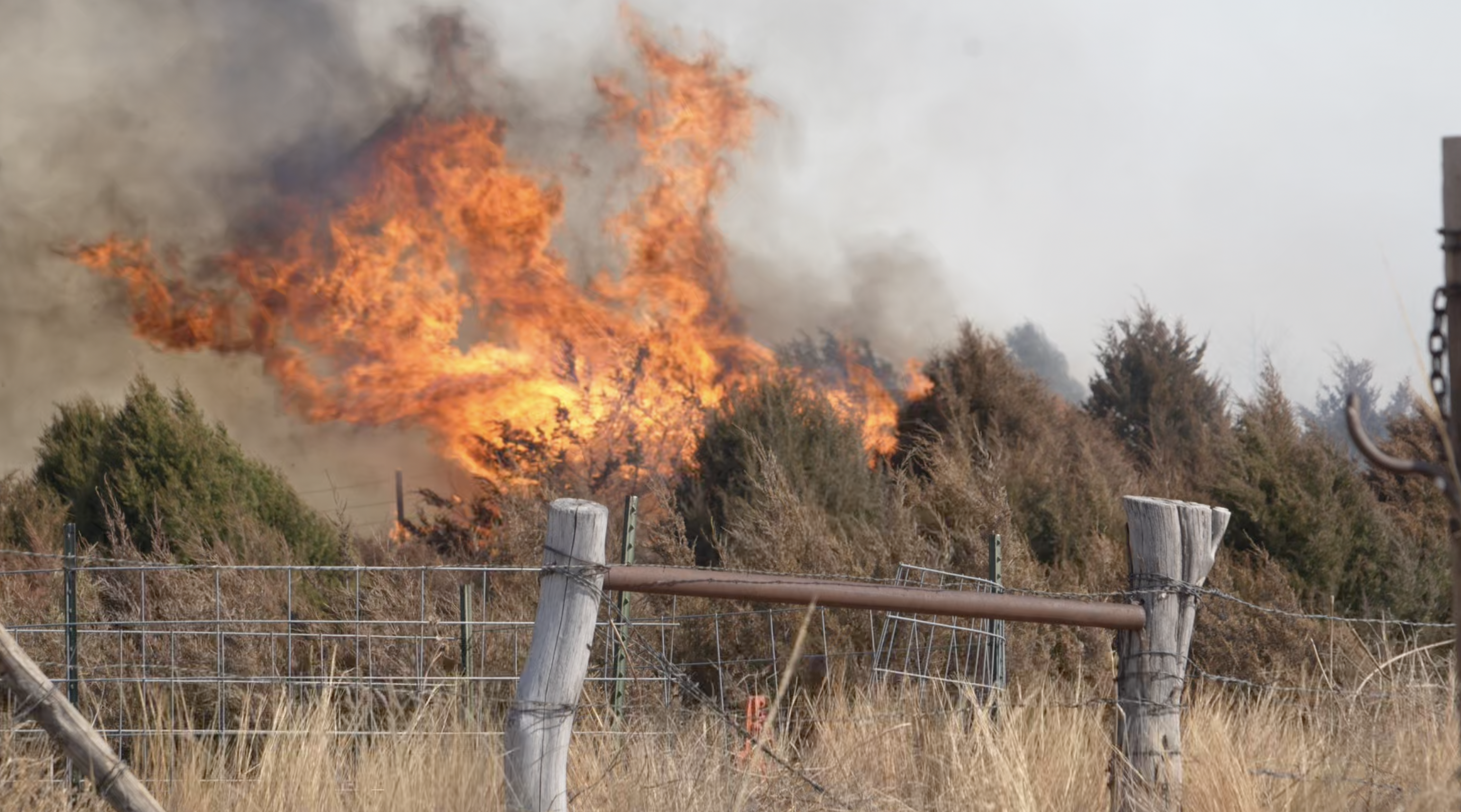 Outdoor notes: Game and Parks urges caution when recreating outdoors due to wildfires