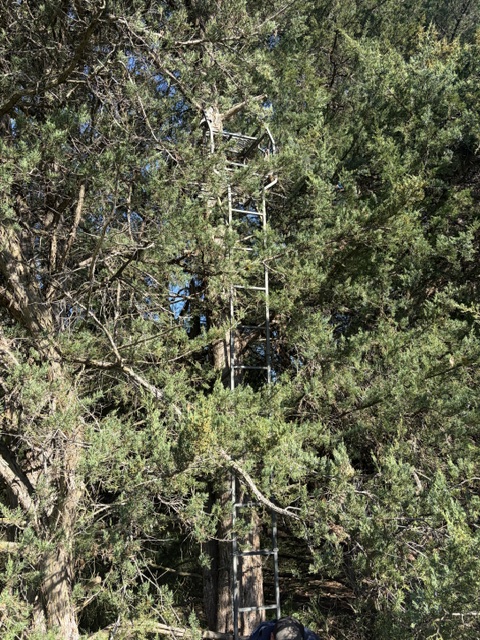 Weather Channel Topper Iowa man injured after falling from tree stand near Pilger - Northeast ...