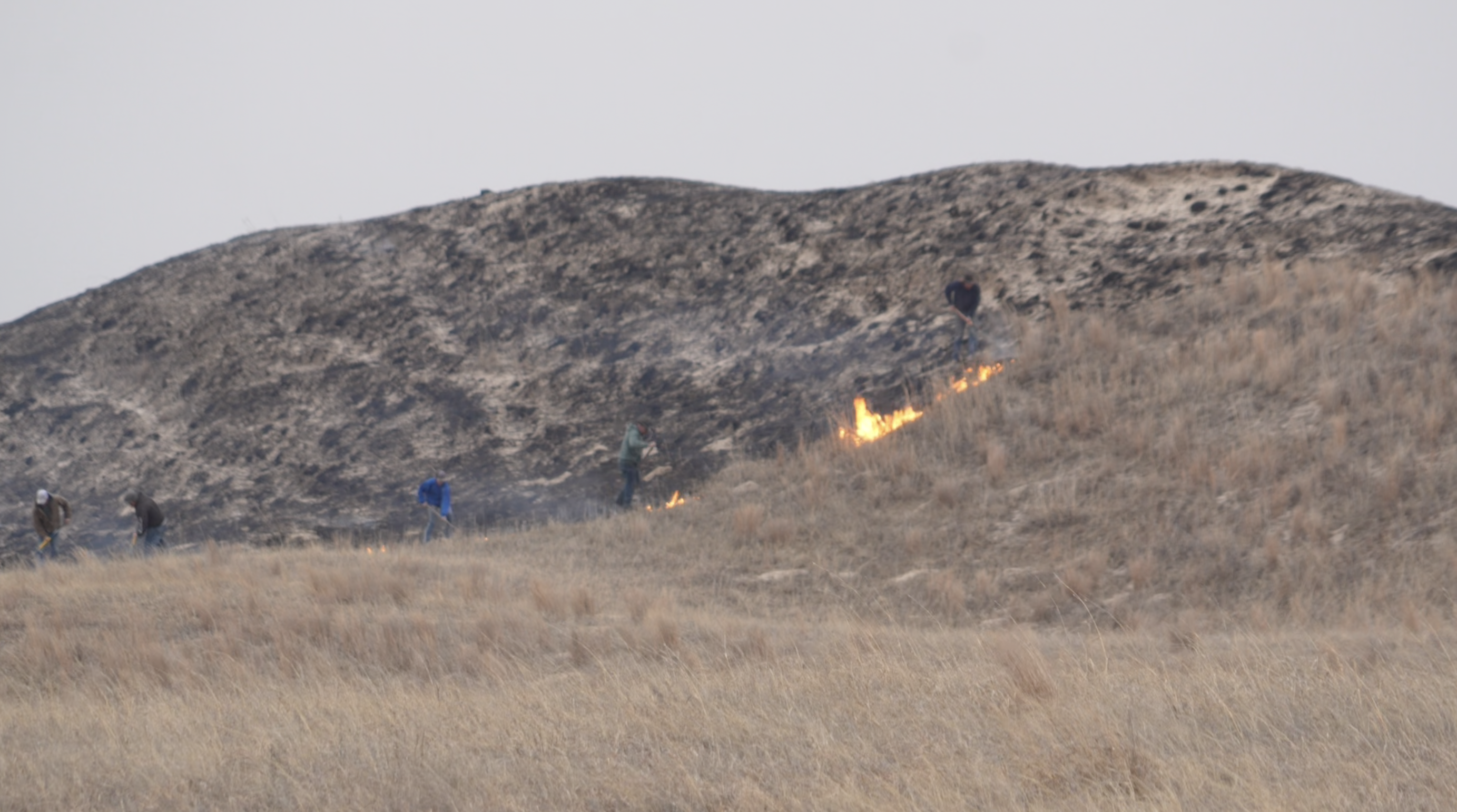 "Largest fire in Nebraska history": Morrill Fire grows to nearly 549,000 acres across western Nebraska