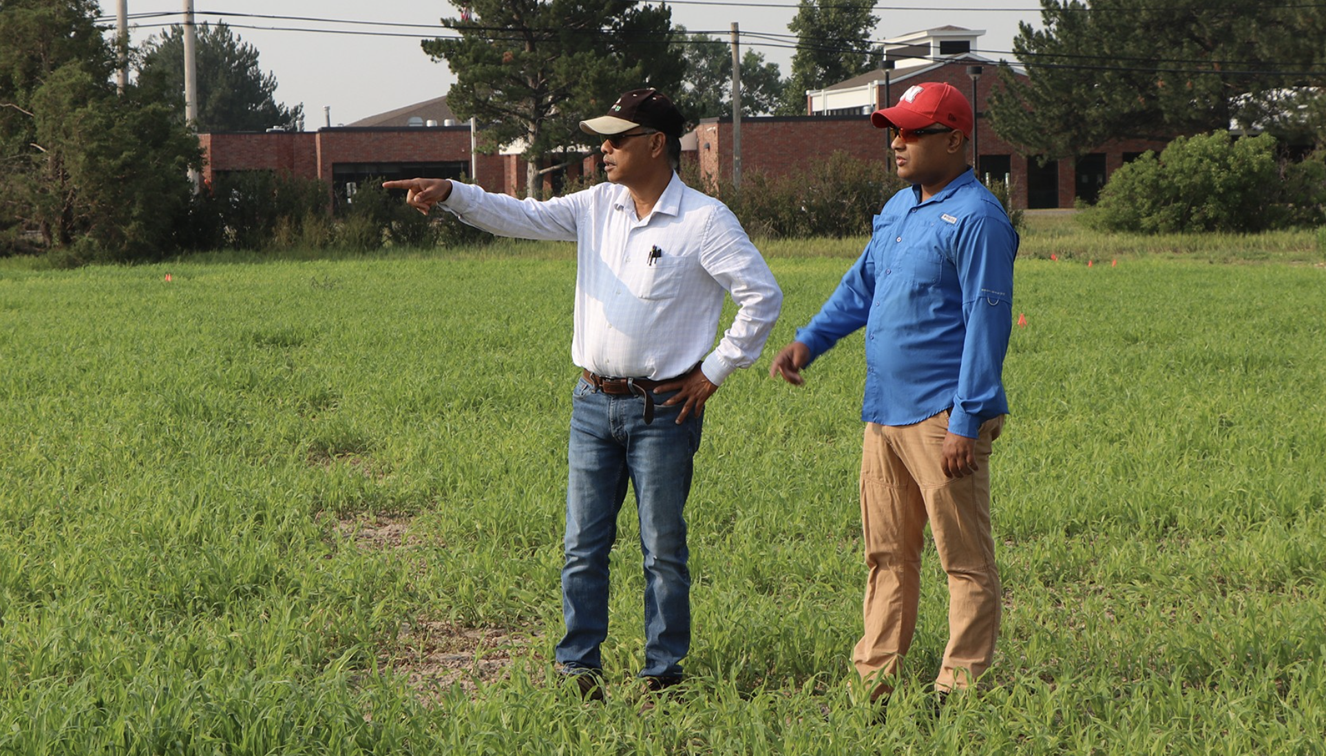 Supplementing dryland wheat and irrigated corn with proso millet in drought years