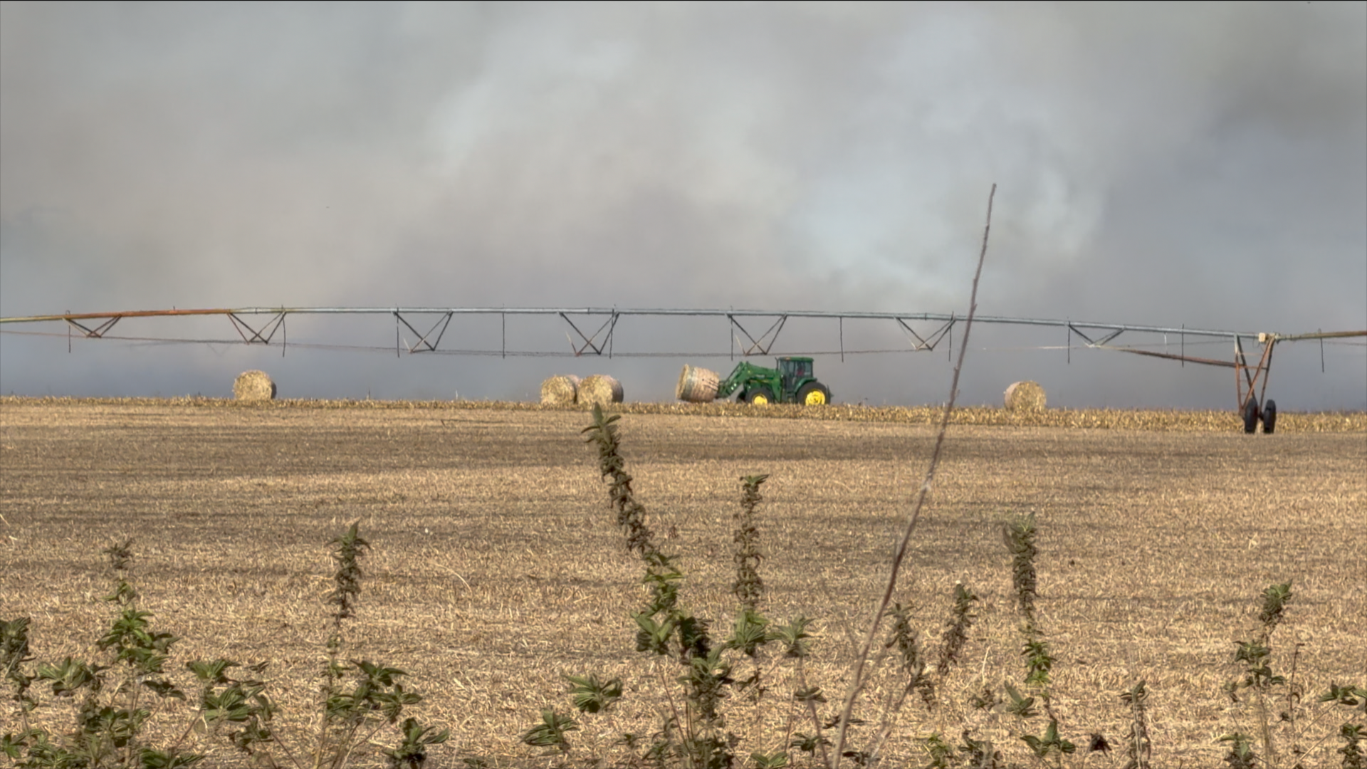 Multiple crews battle 30-acre cornfield blaze south of Norfolk ...