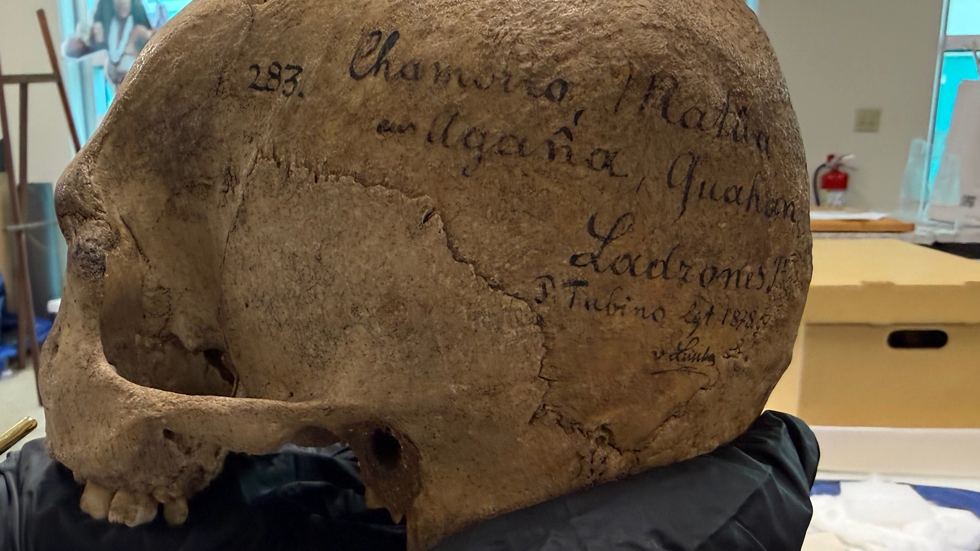 Manmåtto Tåtte I Manmåtua